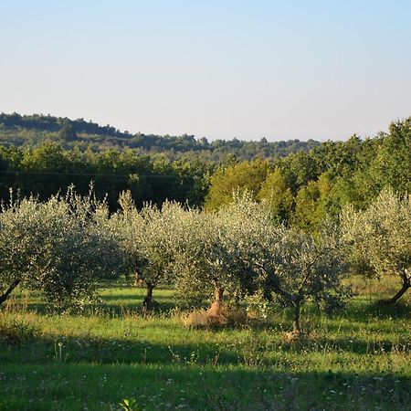 Villa Olivetta By Istrian Country Houses Barat  Luaran gambar