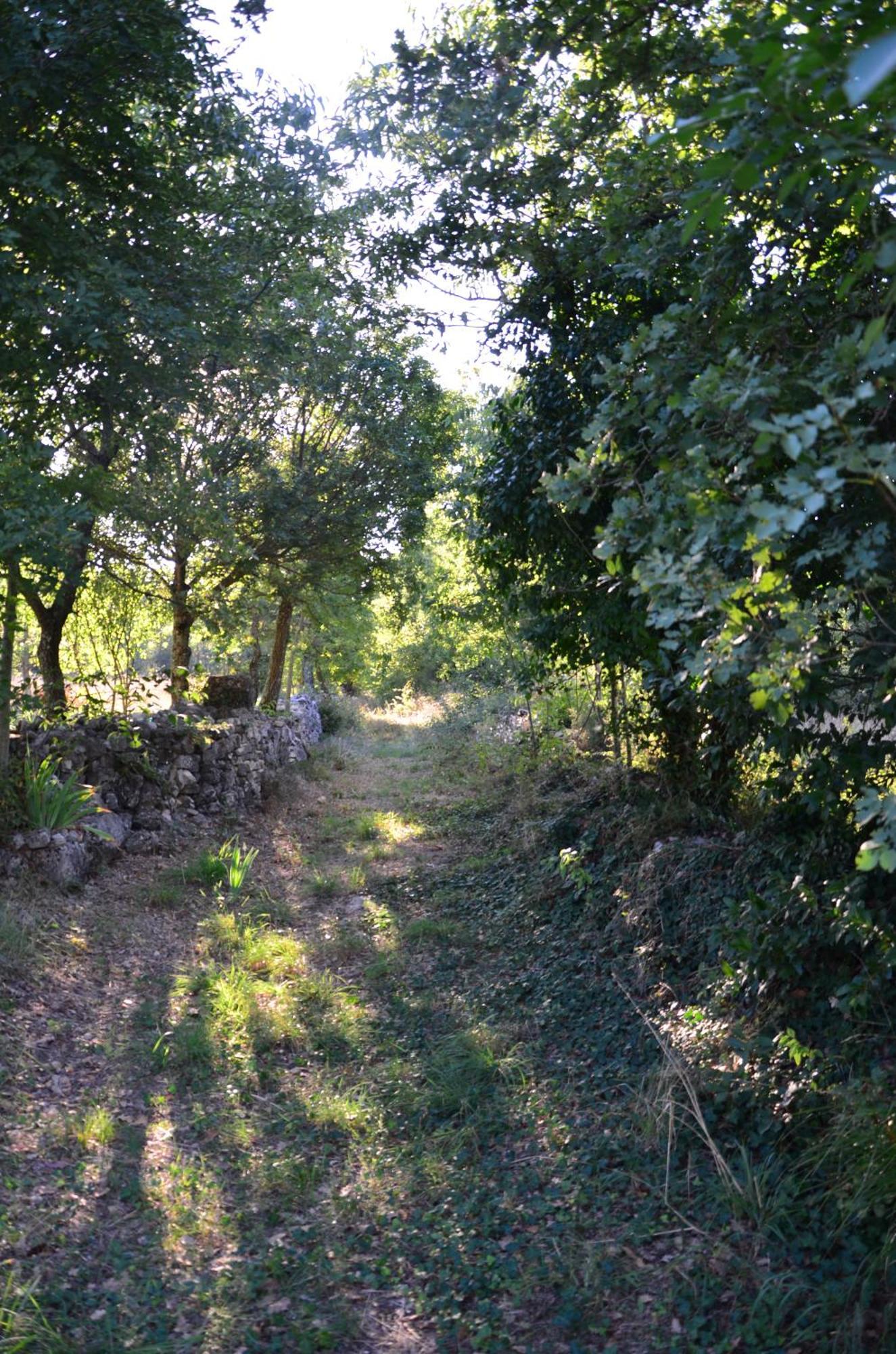Villa Olivetta By Istrian Country Houses Barat  Luaran gambar