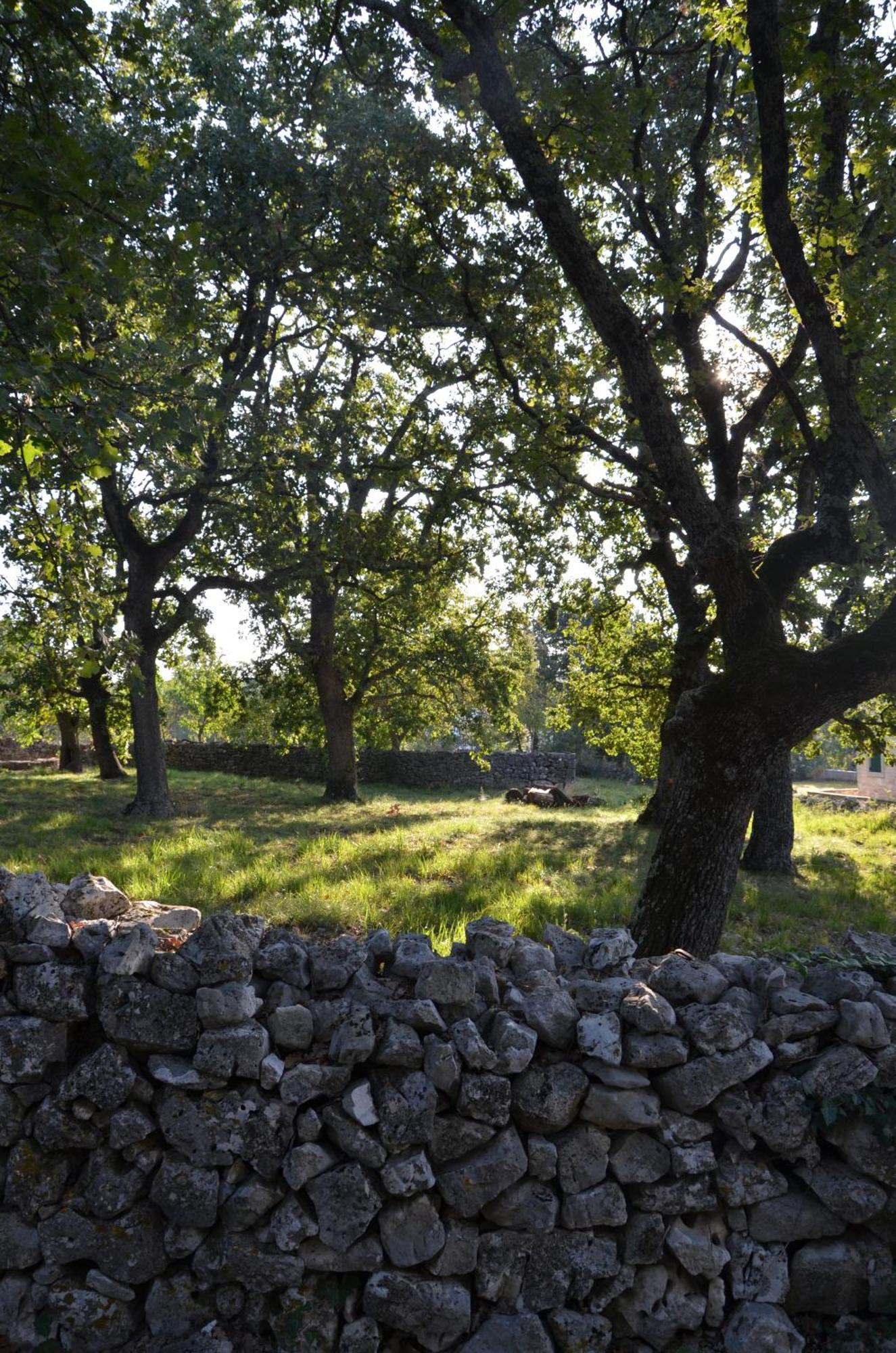 Villa Olivetta By Istrian Country Houses Barat  Luaran gambar