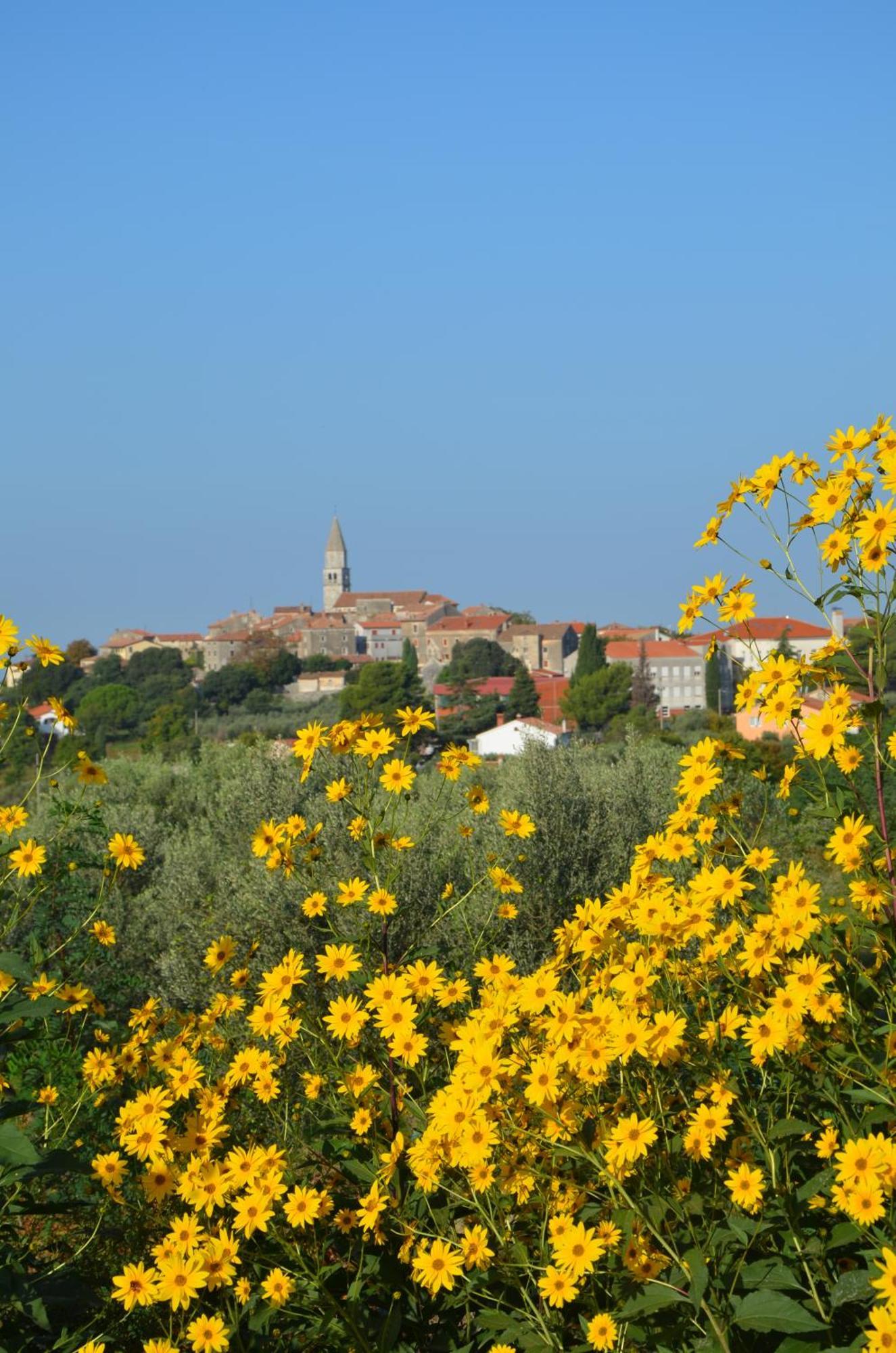 Villa Olivetta By Istrian Country Houses Barat  Luaran gambar