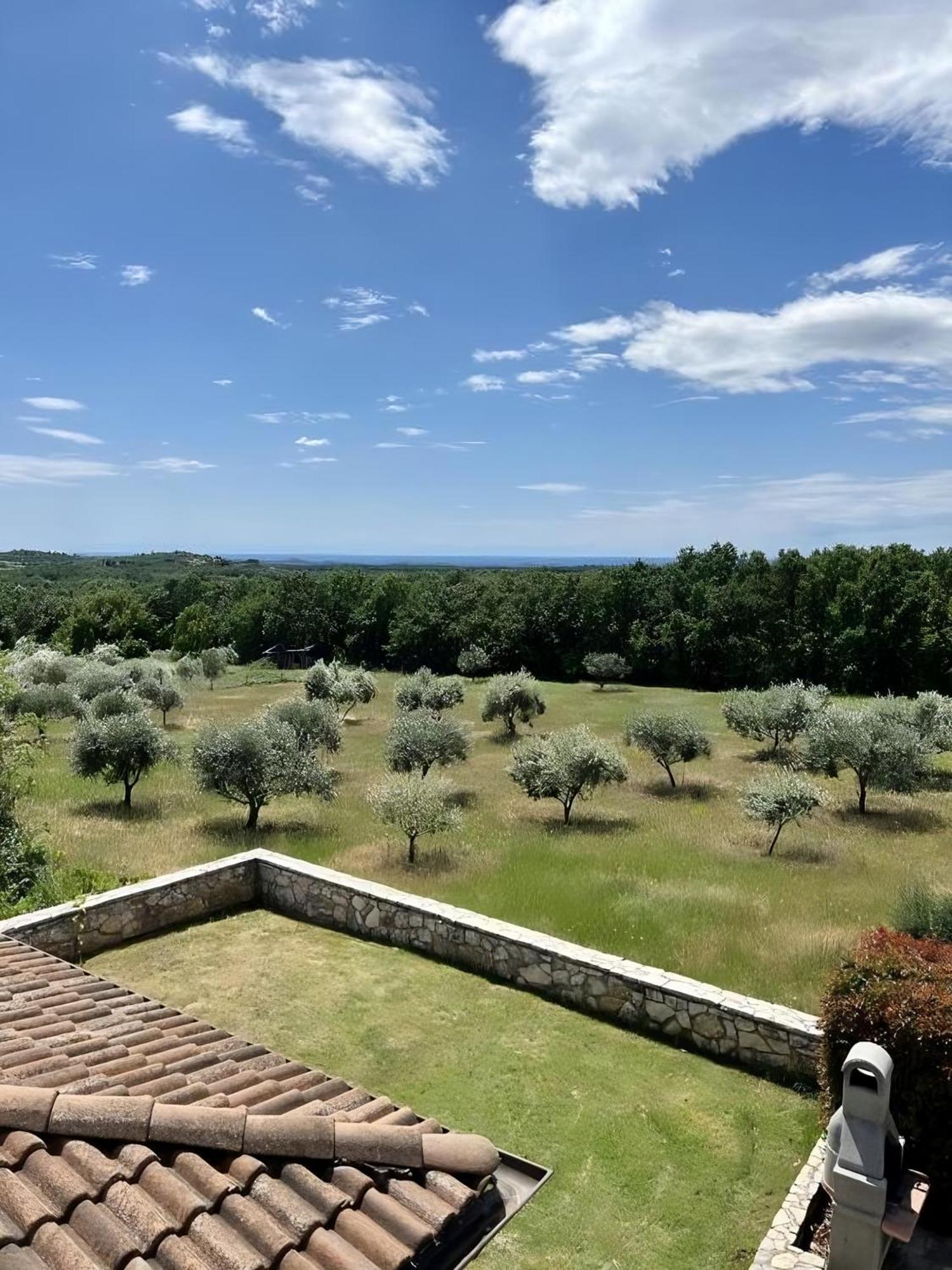 Villa Olivetta By Istrian Country Houses Barat  Luaran gambar