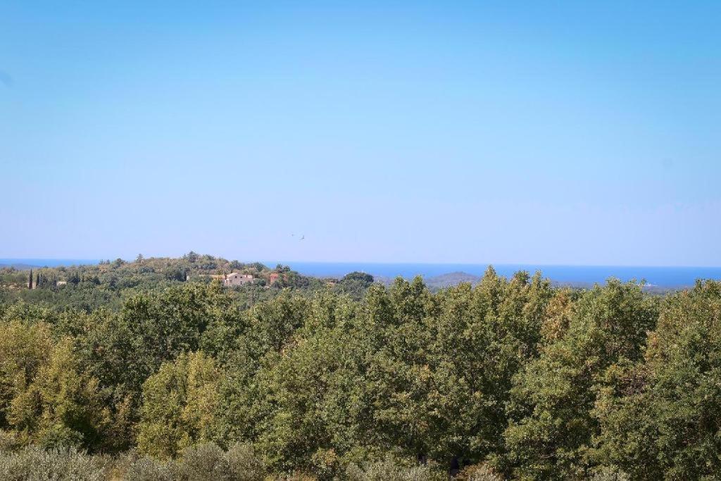 Villa Olivetta By Istrian Country Houses Barat  Luaran gambar
